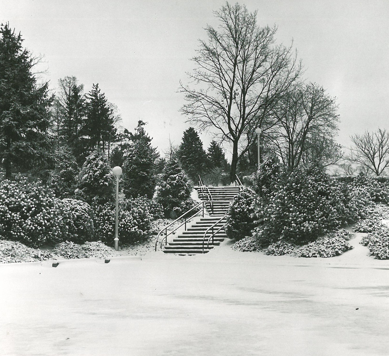 1961